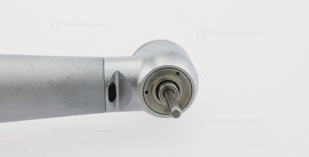 BEING Lotus 302/303PBQ Pieza de mano de turbina con fibra &oacute;ptica compatible con KAVO